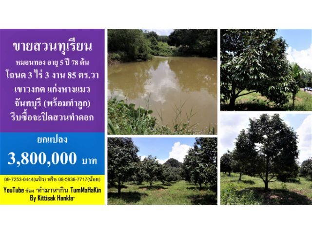 #ขายด่วนก่อนปิดสวนทำดอก #ลูกชาวสวนทุเรียน #ประกาศขาย #หมอนทอง อายุ 5 ปี 78 ต้น #โฉนด 3 ไร่ 3 งาน 85 ตร.วา #พิกัด เขาวงกต #แก่งหางแมว
