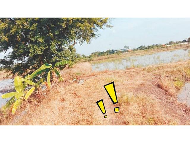 ขายที่ดินจังหวัดปทุมธานี 5 ไร่ ไร่ละ1ลบ.0837124115
