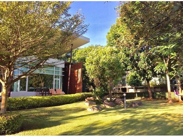 ขายด่วน บ้าน เขาใหญ่ พาโนวิลล์ ปากช่อง 287 ตรว.