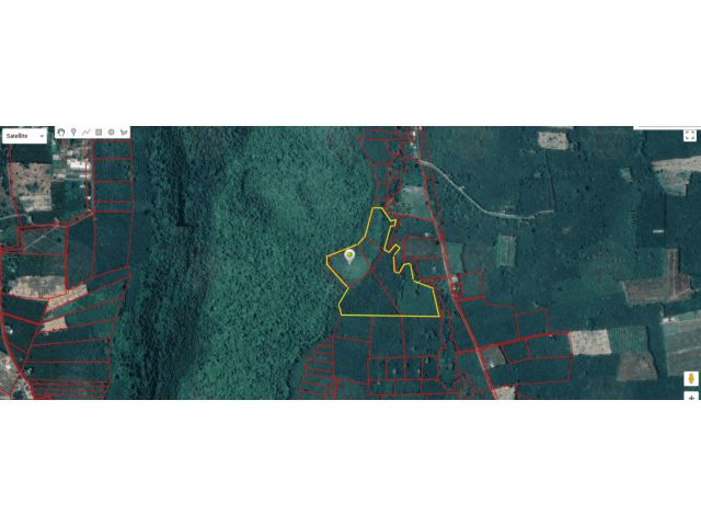 ขายที่ดิน เนื้อที่ 78 -3-54 ไร่    ตั้งอยู่ ต.กรูด  อ.กาญจนดิษฐ์  จ.สุราษฎร์ธานี   ราคาขายเหมา 30 ล้านบาท ต่อรองได้