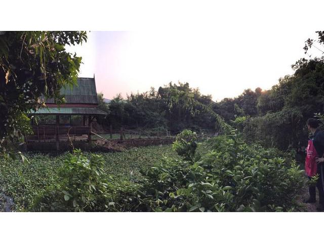 ขายที่ดินเลียบด่วนรามอินทราซอยโยธินพัฒนา 652 ตรว