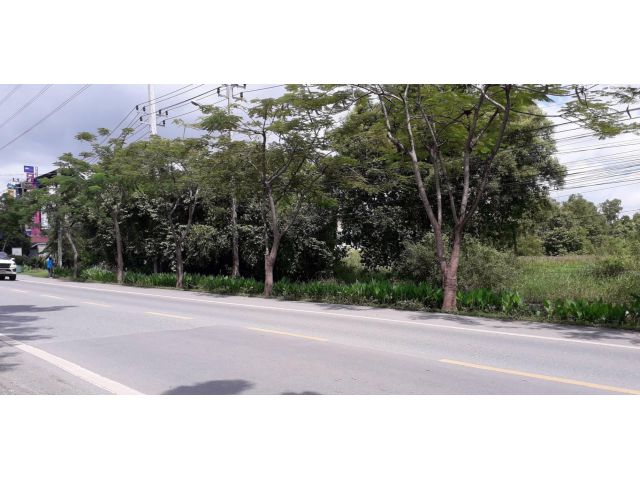 ขายที่ดินแปลงสวย  หนองจอก ติดถนนใหญ่