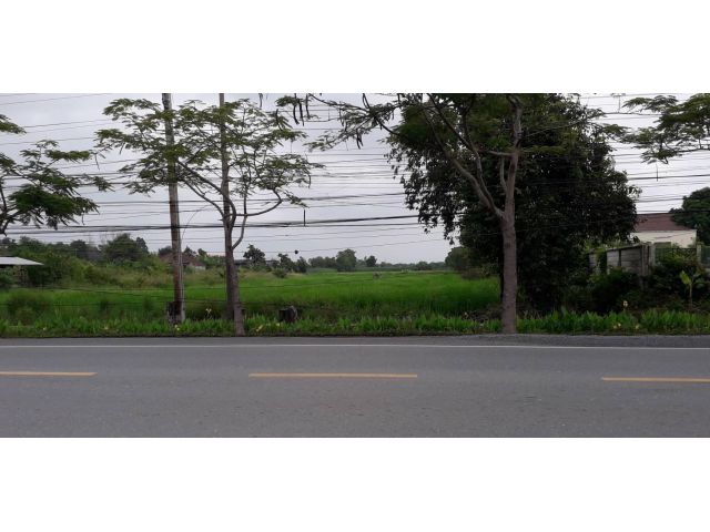 ขายที่ดินแปลงสวยติดถนน 1-2-57 ไร่ ติดถนนมิตรไมตรี