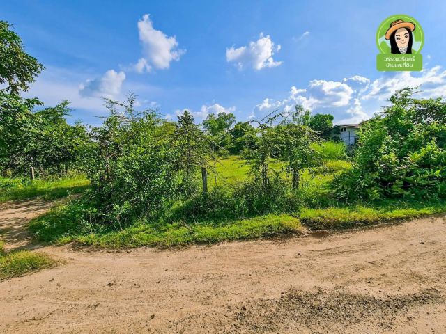 ที่ดินสร้างบ้าน 380,000 โซนบ้านปลาดุก