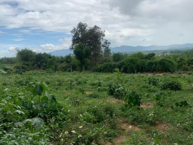 ขายที่ดิน อ.พาน จ.เชียงราย , ที่ดินสวย บนเนินเขา เห็นวิวรอบด้าน
