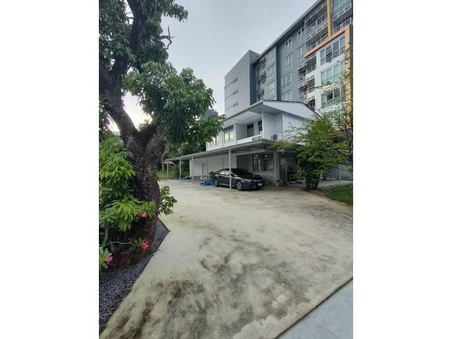 PDD02 ให้เช่าบ้านเดี่ยว 2ชั้น สุขุมวิท 63 ซอยเอกมัย 22 เขตวัฒนา รีโนเวทใหม่ทั้งหลัง พร้อมเข้าอยู่ มีต้นไม้ใหญ่ร่มรื่น บร
