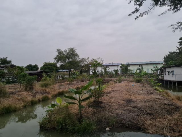 PR938ขายขนาดพื้นที่2ไร่ 1งาน 49 ตรว. เป็นพื้นที่สี่เหลี่ยมผืนผ้าหน้ากว้างติดถนน 47 เมตร ถนนด้านหน้าติดที่ดินกว้าง 8 เมตร