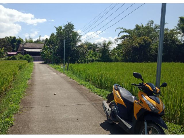 ที่ดินแปลงเล็กท่ารั้ว