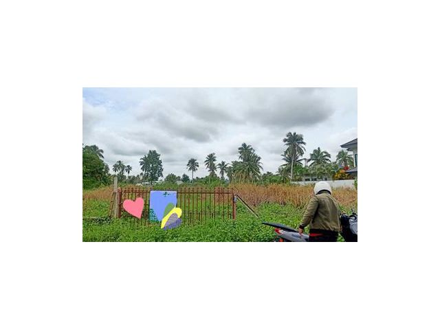 ขายที่ดินเปล่า บางละมุง จ.ชลบุรี  3 ไร่ราคาถูก
