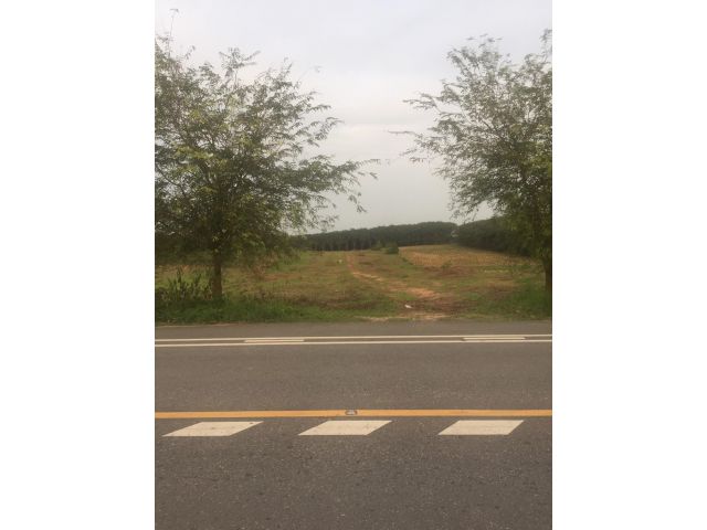 ขายขาด 19.5 ล้าน*** ที่ดินฯ@ต.หนองละลอก ระยอง