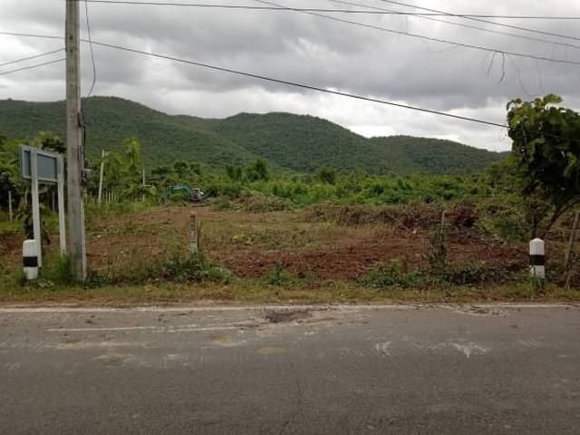 ที่ดิน 50ไร่ ภูเขา บ้านป่าป๋วย ศรีบัวบาน เมือง ลพ.