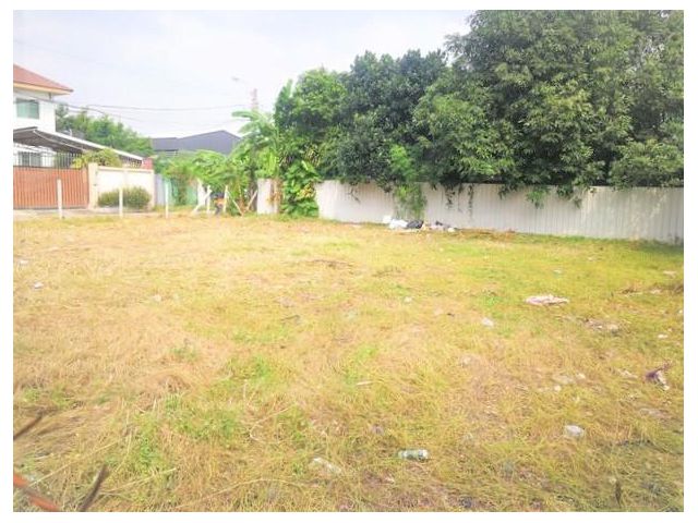 ที่ดิน 99ตรว ย่านลาดพร้าว71