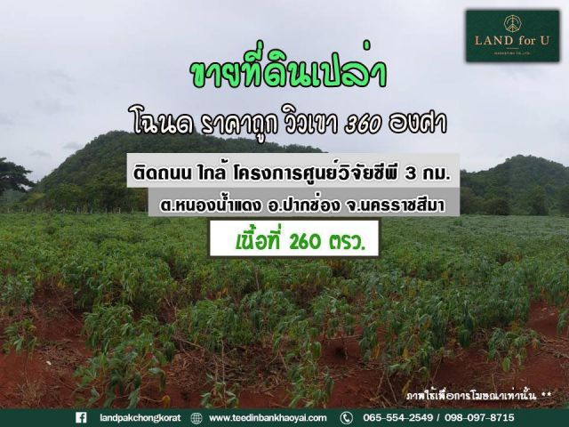 ขายที่ดินเขาใหญ่ ติดถนนปากช่อง-หนองน้ำแดง #ใกล้BaanI-arunresort #ห่างถนนทางหลวงหมายเลข7165เพียง800เมตร