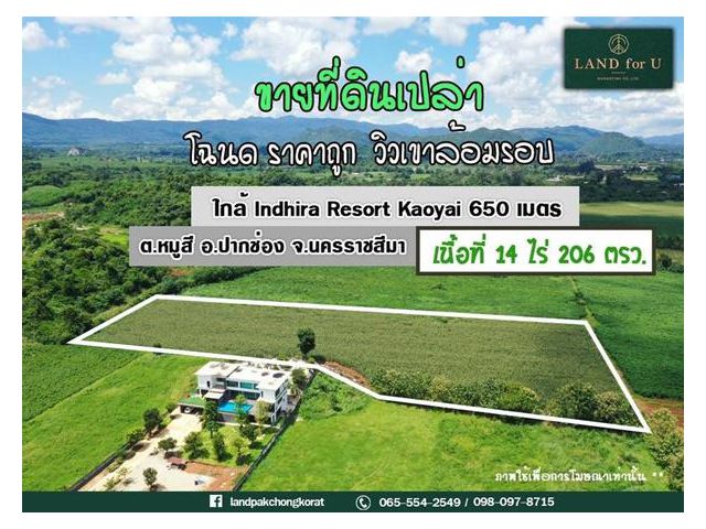 ขายที่ดินเขาใหญ่ #ที่ดินราคาถูกตำบลหมูสี #ตารางวา6,000บาท #วิวเขาใหญ่ล้อมรอบ #บรรยากาศดีมาก