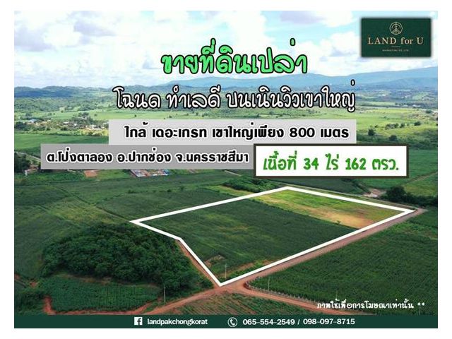 ขายที่ดินเขาใหญ่ #ที่บนเดินมองเห็นวิวเขาใหญ่ #บ้านหนองขี้ตุ่นซอย10 #ใกล้เดอะเกรทเขาใหญ่800เมตร