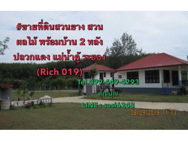 ขายที่ดินสวนยาง สวนผลไม้ พร้อมบ้าน 2 หลัง ปลวกแดง แม่น้ำคู้ ระยอง (Rich 019)porn