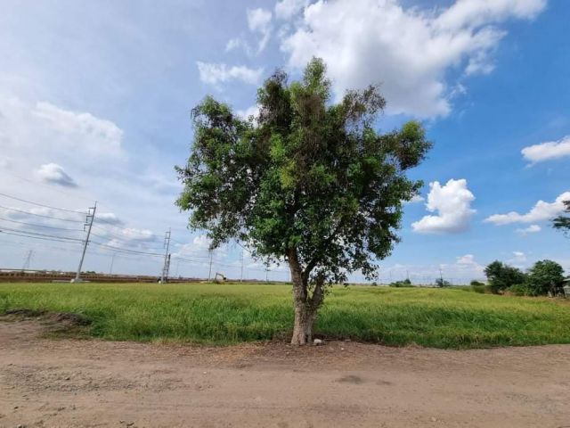 ขายที่ดินอยุธยาหลังโรจนะ 6-1-84ไร่ ไร่ละ6ล้าน ต.ธนู อ.อุทัย จ.พระนครศรีอยุธยา ที่ดินหน้ากว้างติดคลองคานหาม