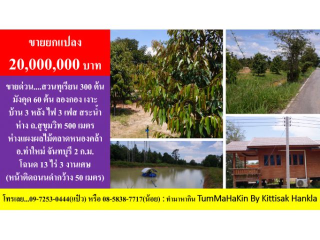 #ขายสวนทุเรียน 300 ต้น #บ้าน 3 หลัง #พิกัด นายายอาม #ใกล้ตลาดหนองคล้า #จันทบุรี #โฉนด 13 ไร่เศษ #20 ล้านบาท