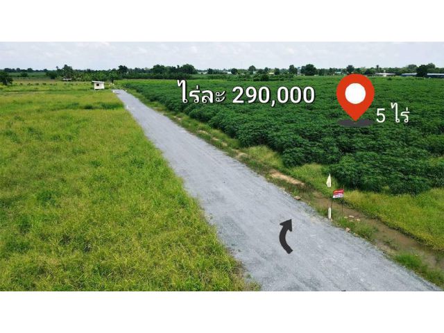 ขายที่ดินวิวเขาสวย เหมาะสร้างบ้านสวนยามเกษียณ โคกหนองนา พื้นที่มีความอุดมสมบูรณ์ดี น้ำไม่ท่วม