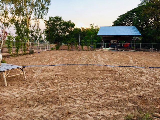 POP-2515 #ขายที่ดินอุบล ที่ดิน 7 ไร่ ถมแล้ว ทำรั้วแล้ว พร้อมสร้างบ้าน ห่างถนนชยางกูร 600 เมตร โซนเมล่อนม่วงสามสิบ ต.ม่วง