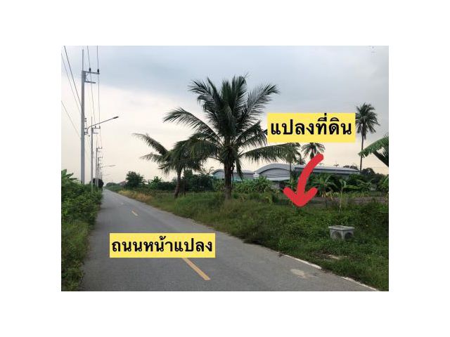 ขายที่ดินเปล่า ใกล้ The Royal Gems And Sport Club  ศาลายา