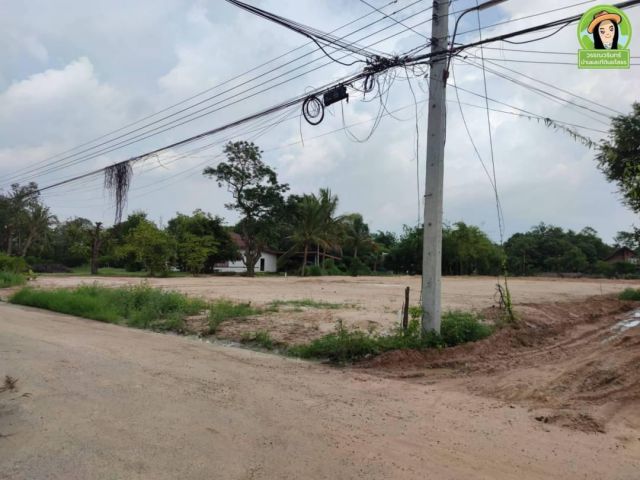 ที่ดินแบ่งล๊อคทำเลเหมาะสร้างบ้าน บ้านศาลาแดง/ยโสธร
