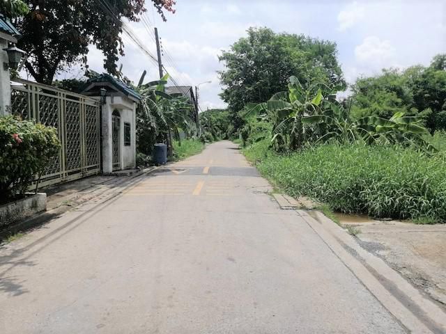 ขายที่ดิน140 ตรว.ใกล้รถไฟฟ้าสายสีชมพู สายสีเขียว