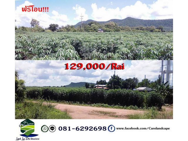 ขายด่วน ที่ดินห่างแยกตากฟ้า 6 km. ราคาถูก จ.นครสวรรค์