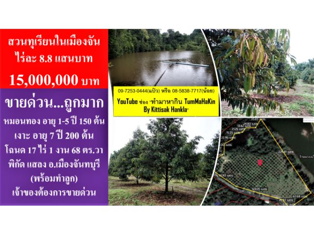 #ขายสวนทุเรียน #ด่วน #โฉนด 17 ไร่เศษ #พิกัด อ.เมือง #จันทบุรี #ไร่ละ 8.8 แสน #นายทุนตัวจริงชมสถานที่จริง #ภายใน 20ตค64
