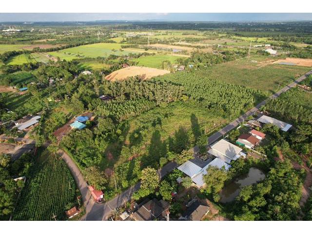 ขายที่ดิน 7 ไร่ ราคาไร่ละ 1.8 ล้านบาท ติดถนนลาดยาง 3017 ใกล้ถนน 331-600เมตร