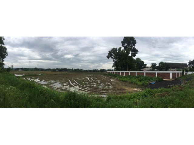 ขายที่ดิน เหมาะทำบ้านจัดสรรค์  หอพัก โรงแรม