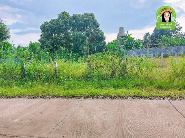 ที่ดินติดคอนกรีต 147 ตร.ว. บ้านนาดูนน้อย
