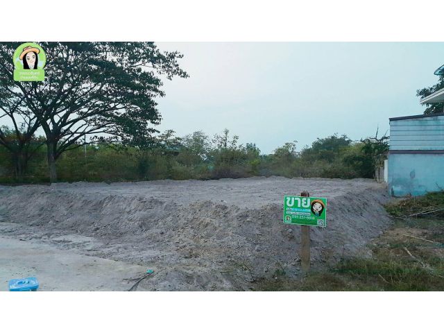 ที่ดินสร้างบ้าน ยโสธร
