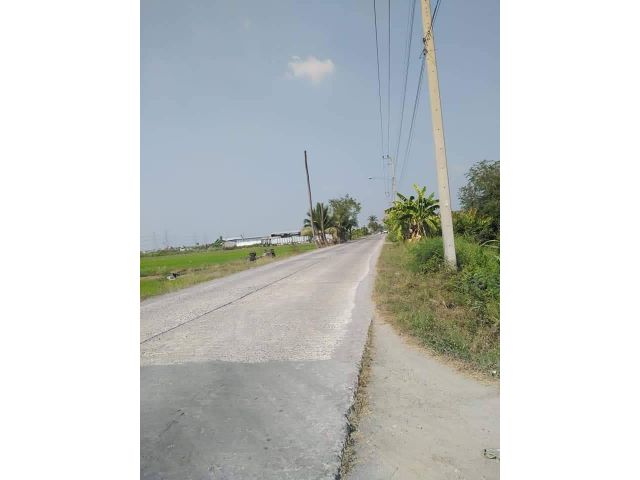 ขายที่ดิน คลอง 7 50-2-56 ไร่ ลำลูกกา