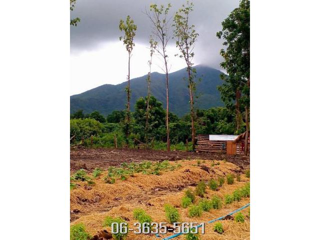 ด่วนที่สุด ที่ดิน ต.ห้วยโป่ง อ.โคกสำโรง จ.ลพบุรี
