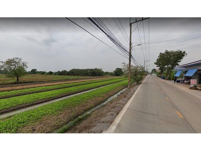 ขายที่ดิน 95 ไร่ ติดถนนคอนกรีต น้ำประปา ไฟฟ้าครบ