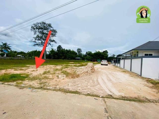 ที่ดินสร้างบ้าน บ้านสว่างเชียงหวาง/ยโสธร 250,000 บาท