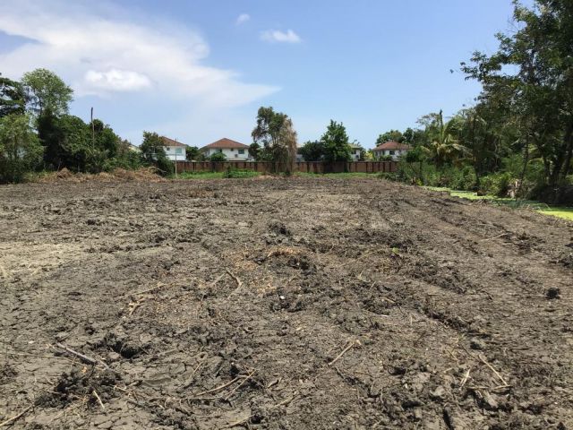 PR954ขายที่ดินอนามัยงามเจริญ 33 แยก 5 มี 2 แปลงเนื้อที่ 4-2-78 ตรว 3-2-47 ตรว ขายตรว 15,000 บาทต่อตรว