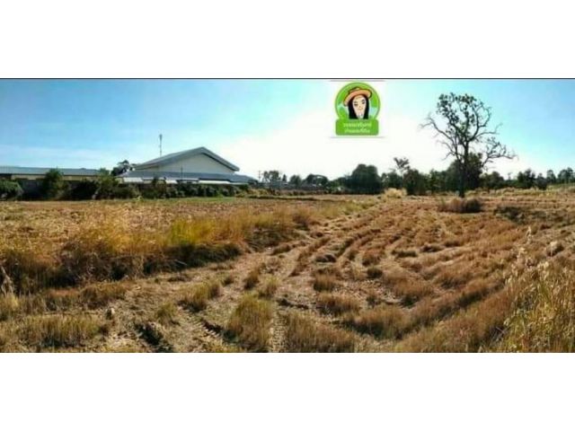 ที่ดินติดถนนโชคชัย เดชอุดม