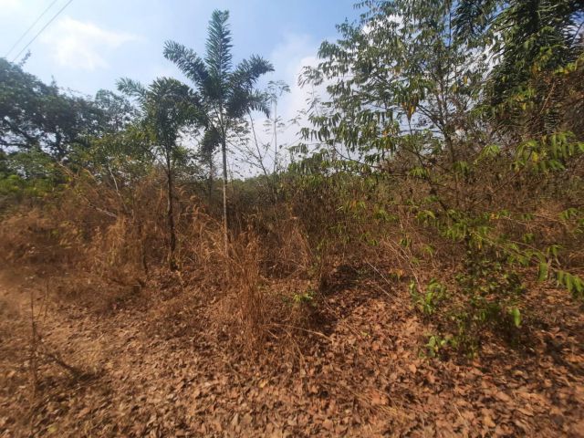 ขายที่ดิน 97.7 ตรว. ยกแปลง 200,000 บาท ใกล้ถนน 3003 - 80 เมตร จ.ฉะเชิงเทรา