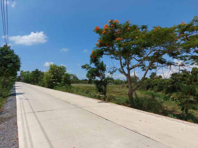 ขายที่ดินหนองจอก ติดถนนซอยประชาสำราญ 2  ตั้งแต่ 1.5 ไร่ - 4.5 ไร่  หน้าติดถนน-หลังติดคลอง ขาย ตร.วา ละ 6,000 บาท