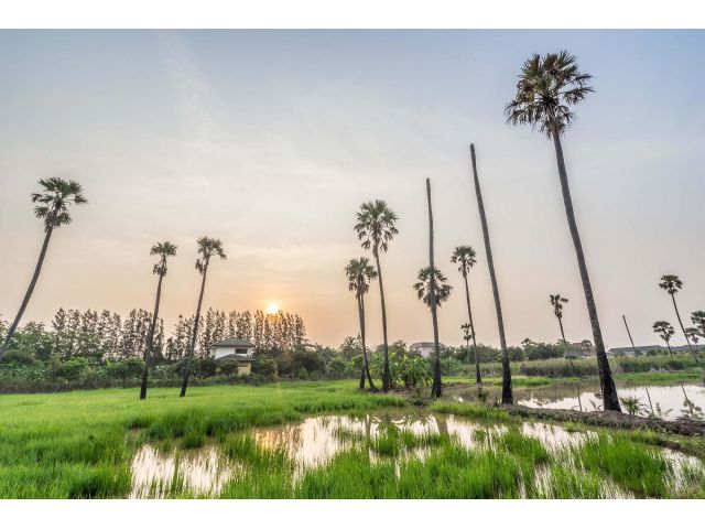 ขายที่ดิน บางคูวัด ใกล้ศรีสมาน สำหรับปลูกบ้าน 150 ตรว.