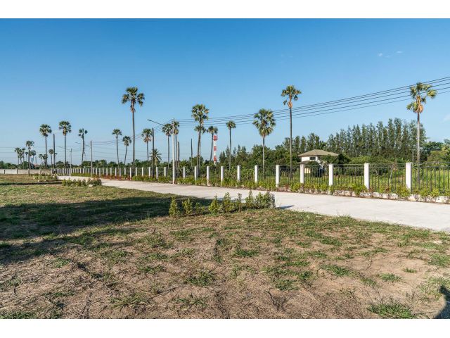 ขายที่ดิน บางคูวัด ใกล้ศรีสมาน สำหรับปลูกบ้าน 150 ตรว.