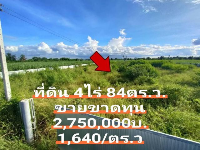 ขายที่ดิน 4 ไร่ 84 ตร.ว. ถนนกว้าง6ม. 2,750,000บาท