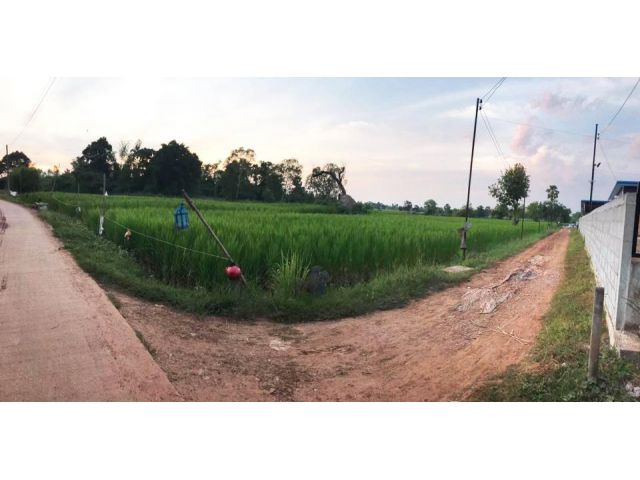2B6MG0223 ขายที่ดินแปลงสวย ที่ดินทำเลสวย ขนาดพื้นที่ 2 ไร่ 3 งาน