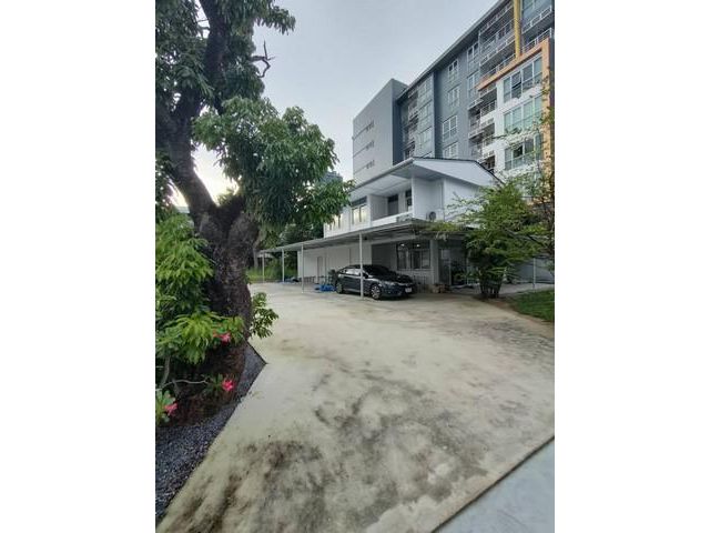 ให้เช่าบ้านเดี่ยว 2 ชั้น รีโนเวทใหม่ทั้งหลัง พร้อมเข้าอยู่ มีต้นไม้ใหญ่ร่มรื่น บรรยากาศสงบเงียบ เขตวัฒนา