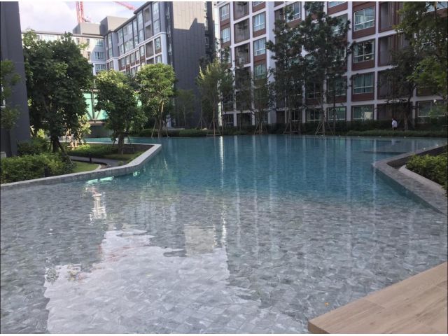 ให้เช่า D Condo Ping  ใกล้เซ็นทรัลเฟสติวัล   ต.ฟ้าฮ่าม  อ.เมืองเชียงใหม่ จ.เชียงใหม่