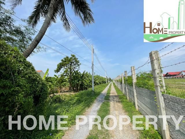 ที่ดินขนาด 3 ไร่ ถ.พุทธมณฑลสาย4 ตลิ่งซัน กรุงเทพ