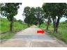 ขายที่ดินถมแล้ว 61 ตรว. ในม.มีนบุรีการ์เด้นโฮม