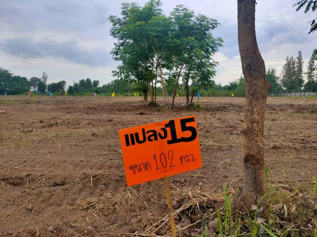 ขายที่ดินจัดสรร สด ผ่อนไ้ด้ ผ่อนตรงกับเจ้าของ  บ้านสวนคลอง 14  องค์รักษ์